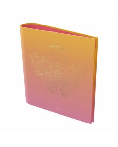 CARPETA 3x40 COLORFUL