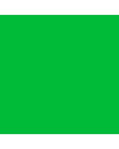 TEMPERA FLUO VERDE.x250g