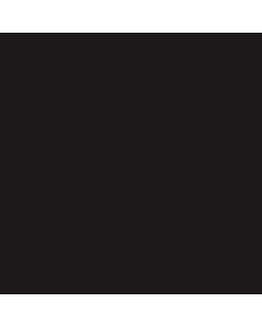 TEMPERA NEGRO x250g