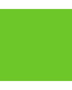 TEMPERA VERDE MANZANA x250g
