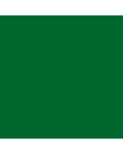 TEMPERA VERDE OSCURO x250g