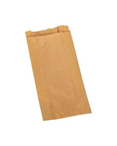 BOLSA KRAFT 2 X 100 UNIDADES 