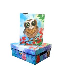 CAJA FANTASIA BUHO