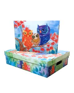 CAJA FANTASIA BAJO CAMA BUHO 