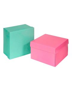 CAJA SORPRESA ROSA/VERDE