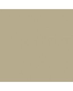 ACRILICO BEIGE AD770 X 250 CC.