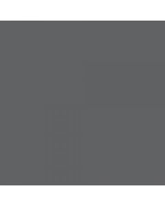 ACRILICO GRIS AD830 X 250 CC.