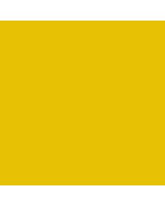 ACRILICO LIMON AD920 X 250 CC