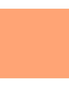 ACRILICO SALMON AD70 X 250 CC.