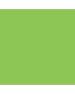 PINTURA A LA TIZA VERDE MANZANA AD330
