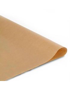 HOJA SEIN KRAFT 85 X 120 CM. X 5 U.