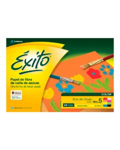 BLOC DE DIBUJO COLOR EXITO Nº5  X 24 HOJAS