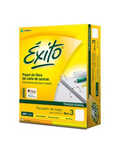 REPUESTO DE HOJAS CUADRICULADAS TRADICIONAL PARA CARPETA Nº3 X 480 HOJAS