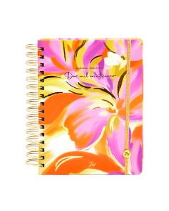 AGENDA SEMA C-ESPIRAL DOCENTE
