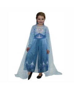 DISFRAZ  FROZEN 2 ELSA