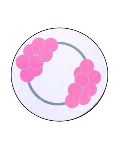 KIT ARO DE GLOBOS ROSA