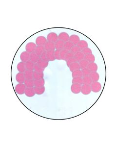 KIT ARCO DE GLOBOS PARA MESA ROSA