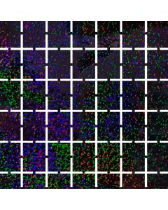 CORTINA BRIKS WALL LASER NEGRA