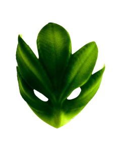MASCARA HOJA