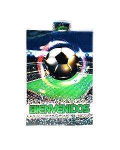 POSTER FUTBOL