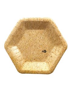 PLATO HEXAGONAL GRANDE KRAFT X 8 UNI
