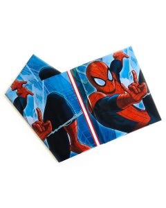 MANTEL SPIDERMAN