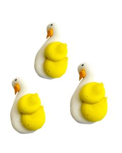GLACE CISNES X 10  U.