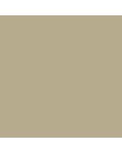 ACRILICO BEIGE AD770 x 60 CC.