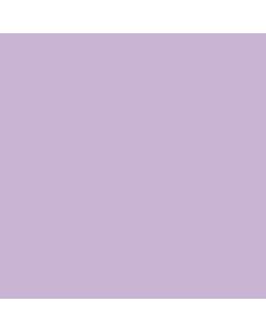 ACRILICO FLOR SILVESTRE AD1020 x 60 CC.