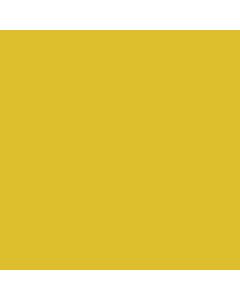 ACRILICO LIMON AD920 x 60 CC.
