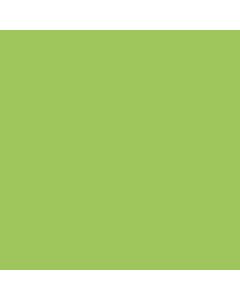 ACRILICO VERDE MANZANA AD330 x 60 CC.