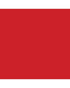 ACRILICO FLUO ROJO ADF60 x 60 CC.