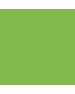 ACRILICO FLUO VERDE ADF20 x 60 CC.